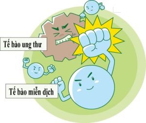 LIỆU PHÁP MIỄN DỊCH TẾ BÀO – BƯỚC ĐỘT PHÁ MỚI TRONG ĐIỀU TRỊ UNG THƯ