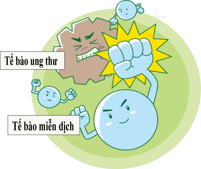 LIỆU PHÁP MIỄN DỊCH TẾ BÀO – BƯỚC ĐỘT PHÁ MỚI TRONG ĐIỀU TRỊ UNG THƯ