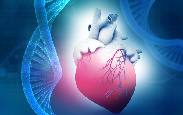 BỆNH CƠ TIM GIÃN (DILATED CARDIOMYOPATHY – DCM)