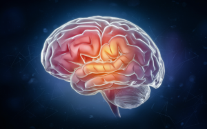 BỆNH CREUTZFELDT–JAKOB (CJD): BỆNH NÃO PRION HIẾM GẶP, TIẾN TRIỂN NHANH VÀ TỶ LỆ TỬ VONG CAO