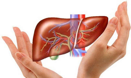 TỔNG QUAN BỆNH LÝ GAN – MẬT: NGUYÊN NHÂN, TRIỆU CHỨNG, ĐIỀU TRỊ VÀ PHÒNG NGỪA