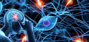 THOÁI HÓA ĐA HỆ THỐNG (MULTIPLE SYSTEM ATROPHY – MSA): BỆNH THẦN KINH HIẾM GẶP, TIẾN TRIỂN NHANH VÀ NGHIÊM TRỌNG