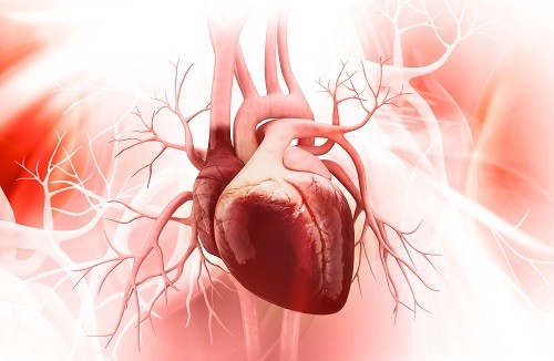 U tim nguyên phát: Căn bệnh cực hiếm nhưng không thể xem nhẹ